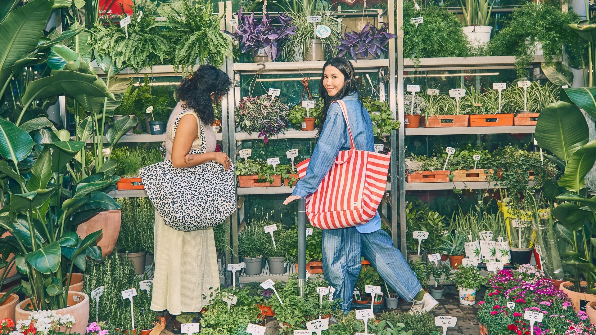 Carry Color, Conquer the Elements